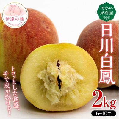 ふるさと納税 伊達市 先行予約 福島の桃 日川白鳳 2kg(6〜10玉)[あかい果樹園] F20C-447