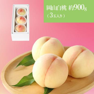 ふるさと納税 浅口市 [先行受付]2025年6月以降発送開始 岡山の白桃 3玉(約900g)