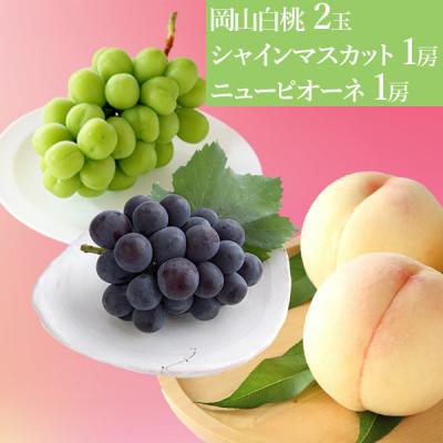 ふるさと納税 浅口市 [先行受付]2025年7月以降発送 岡山の白桃2玉+シャインマスカット晴王1房+ピオーネ1房詰合せ