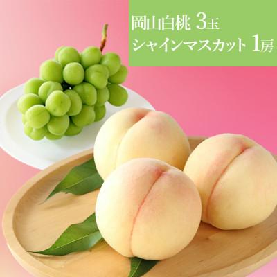 ふるさと納税 浅口市 [先行受付]2025年6月以降発送開始 岡山の白桃3玉+シャインマスカット晴王1房