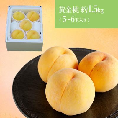 ふるさと納税 浅口市 [先行受付]2025年8月以降発送開始 岡山の黄金桃 5〜6玉(約1.5kg)