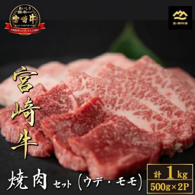 ふるさと納税 小林市 [A4等級以上]宮崎牛おためし赤身焼肉 500g×2P(DAS067)(小林市)