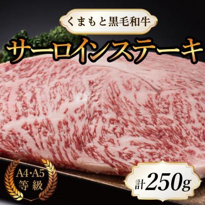 ふるさと納税 長洲町 [A4〜A5]くまもと黒毛和牛サーロインステーキ 250g(250g×1枚)(長洲町)