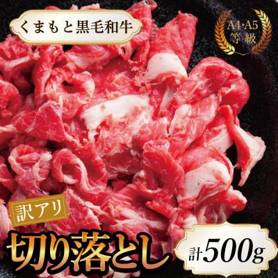 ふるさと納税 長洲町 [A4〜A5]くまもと黒毛和牛切り落とし 500g(長洲町)