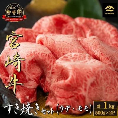 ふるさと納税 小林市 [A4等級以上]宮崎牛おためしすき焼き 500g×2P(DAS068)(小林市)