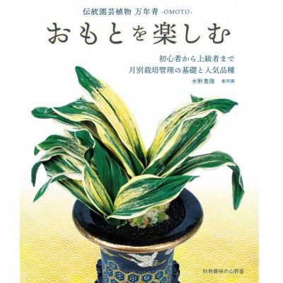 ふるさと納税 岡崎市 徳川家康公の運気を上げた縁起物! おもと講座と植え替え体験 [万年青プレゼント!]
