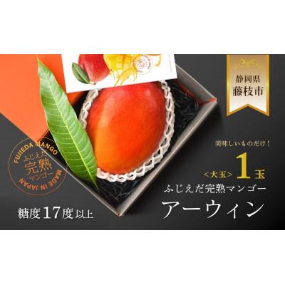 ふるさと納税 藤枝市 [2026年6月頃より順次発送]完熟マンゴー 大玉1玉 糖度17以上 数量限定 静岡県藤枝市産
