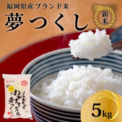 ふるさと納税 川崎町 [化粧箱入り]新米!!令和7年産 福岡県産米 夢つくし 5kg(5kg×1袋)(川崎町)