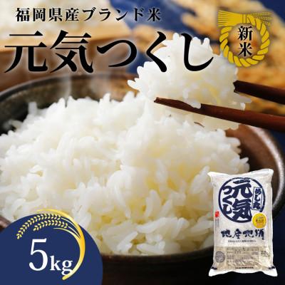 ふるさと納税 川崎町 [化粧箱入り]新米!!令和7年産 福岡県産米 元気つくし 5kg(5kg×1袋)(川崎町)