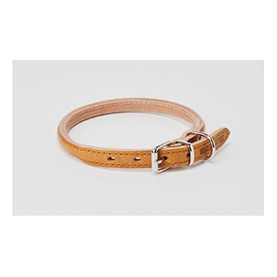 ふるさと納税 姫路市 [53657037]good collar 4号 ヒノキ