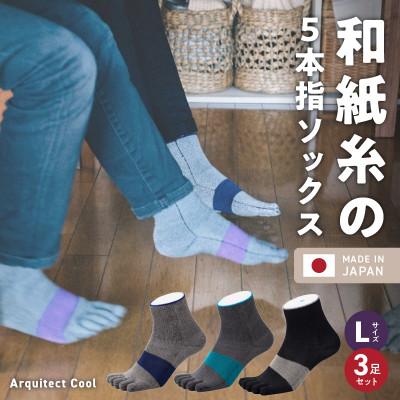 ふるさと納税 久留米市 和紙×コラーゲンナイロン アルキテクト・クール3足入り(3色/L寸)