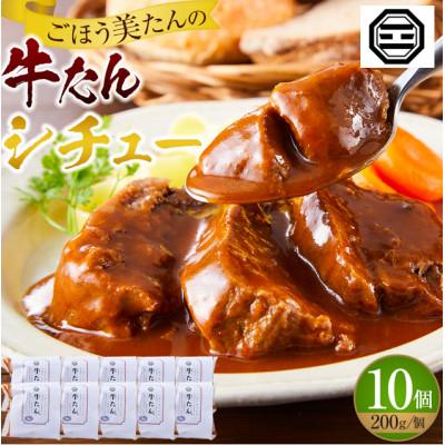 ふるさと納税 高松市 ぶつぎりたんちゃん特製 ごほう美たんの牛たんシチュー