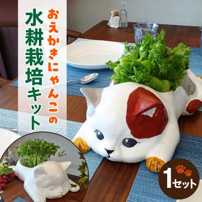 ふるさと納税 西尾市 おえかきにゃんこの水耕栽培キット・K288 : Yahoo