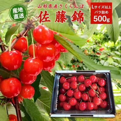 ふるさと納税 寒河江市 [2027年産・先行受付]山形県産 さくらんぼ 佐藤錦 約500g Lサイズ以上 バラ詰め