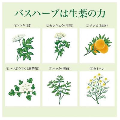 ふるさと納税 静岡市 ツムラのくすり湯　バスハーブ　650ml×2本 |  | 02