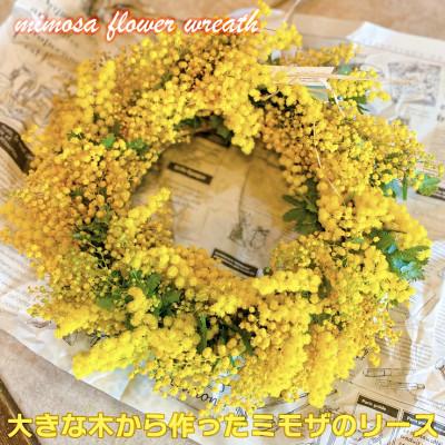 ふるさと納税 ひたちなか市 (3月発送)大きな木から作ったミモザのリース[限定品]おしゃれなお花をインテリア壁飾りプレゼントに!