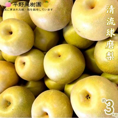 ふるさと納税 錦町 [先行予約!2026年8月初旬〜発送] 錦の梨 清流錦 梨 約3kg [平野果樹園]