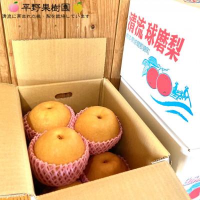 ふるさと納税 錦町 【先行予約!2026年8月初旬〜発送】 錦の梨 清流錦
