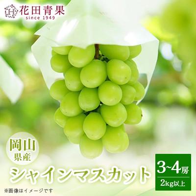 ふるさと納税 浅口市 [花田青果]先行受付 シャインマスカット 3〜4房(2kg以上)