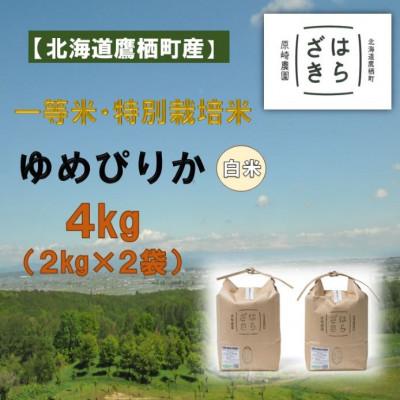 ふるさと納税 鷹栖町 [令和7年産]一等米・特別栽培米 ゆめぴりか精米 4kg(2kg×2袋)