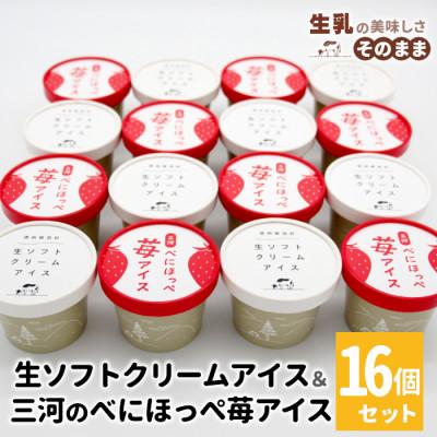 ふるさと納税 根羽村 生ソフトクリームアイス&amp;べにほっぺ苺アイス 16個入り