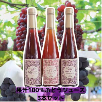 ふるさと納税 南陽市 果樹園生まれの 果汁100%ぶどうジュース 500ml「高級ぶどう・デラウェア」計3本[S1167]