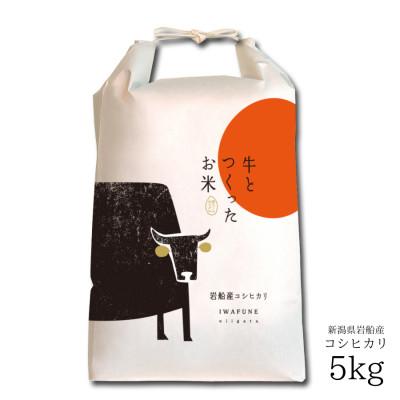 ふるさと納税 村上市 新米[令和7年産米]牛とつくったお米 新潟県岩船産コシヒカリ 精米5kg 1041001