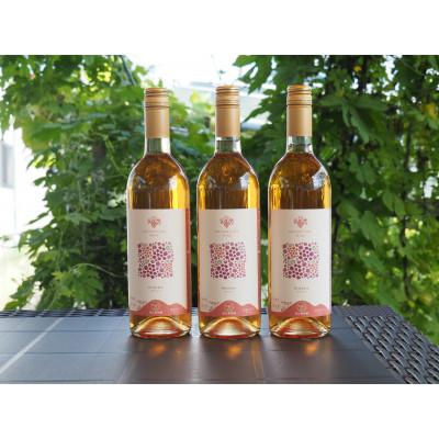 ふるさと納税 南陽市 果樹園生まれの 「漆山ワイン (デラウェア)」 750ml×3本セット[S1168]