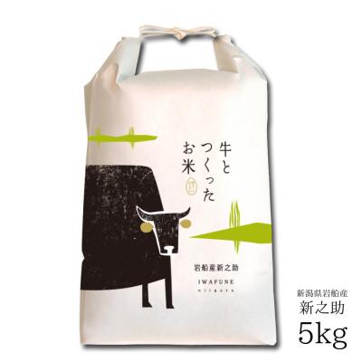 ふるさと納税 村上市 新米[令和7年産米]牛とつくったお米 新潟県岩船産新之助 精米 5kg 1041002