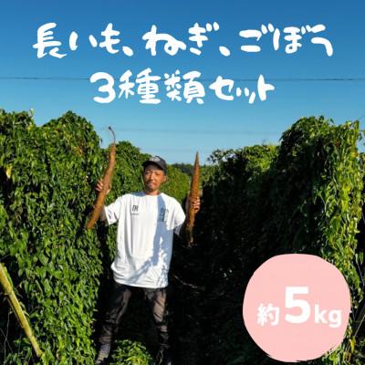 ふるさと納税 水戸市 水戸の3年長芋・ごぼう・ねぎセット 計約5kg