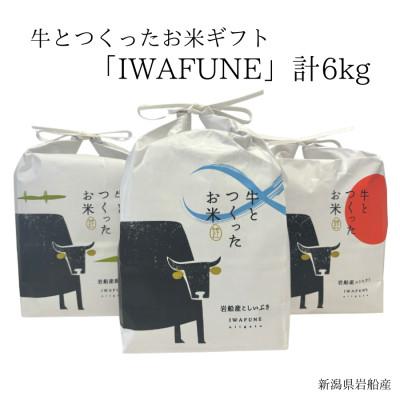 ふるさと納税 村上市 新米[令和7年産米]牛とつくったお米食べ比べセット「IWAFUNE」6kg 1041004