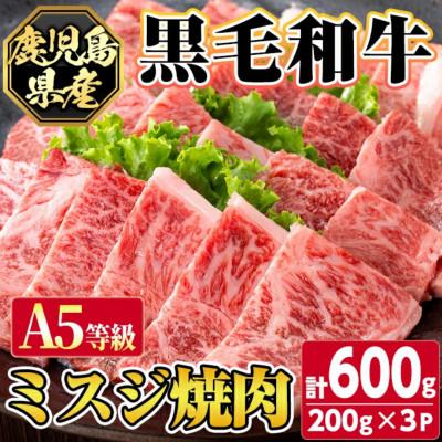 ふるさと納税 さつま町 [A5等級]鹿児島県産 黒毛和牛 ミスジ 焼肉(計600g) [カミチク] s626(さつま町)