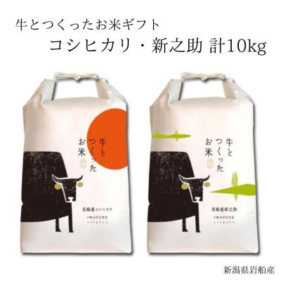 ふるさと納税 村上市 新米[令和7年産米]牛とつくったお米 新潟県岩船産コシヒカリ5kg・新之助5kg 1041006