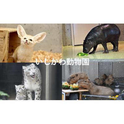 ふるさと納税 能美市 いしかわ動物園ペア入園券(一般) |  | 01