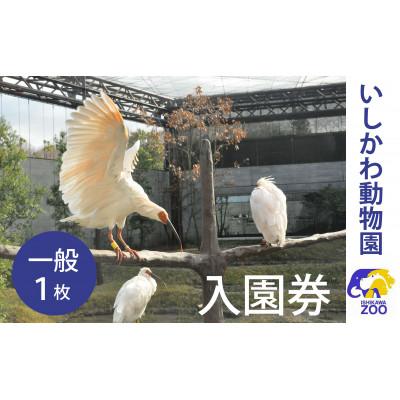 ふるさと納税 能美市 いしかわ動物園入園券(一般)