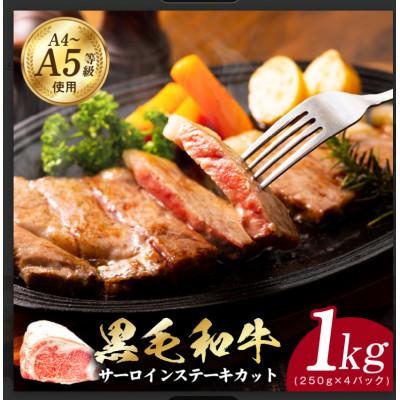 ふるさと納税 泉佐野市 A5/A4等級黒毛和牛サーロインステーキカット合計1kg(250g×4P)極味付け肉 G3642-1