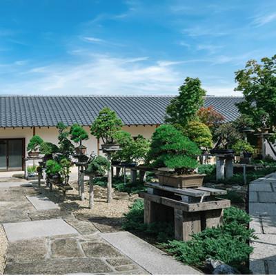 ふるさと納税 藤沢市 趣楽園で使える盆栽商品券〔20万円〕