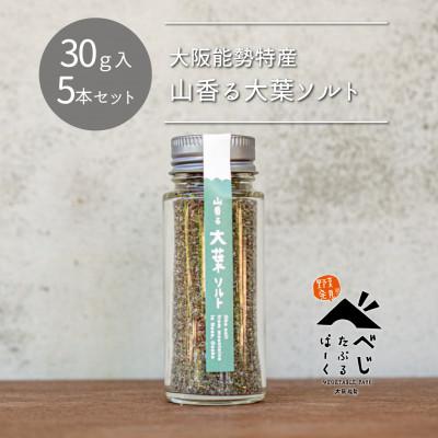 ふるさと納税 能勢町 [大阪能勢特産]山香る大葉ソルト5本セット