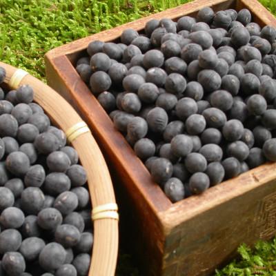 ふるさと納税 丹波篠山市 丹波黒大豆 川北黒 2Lサイズ 1kg