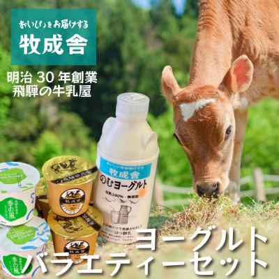 ふるさと納税 高山市 [牧成舎]飛騨の牛乳屋さんが作った こだわりのヨーグルトバラエティー7点セット