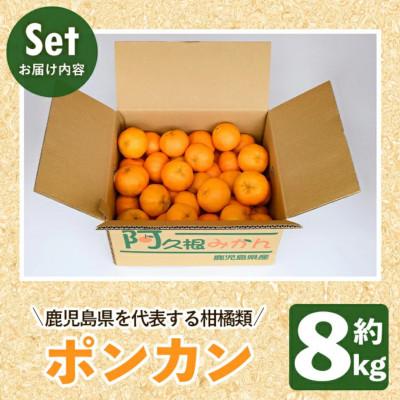 ふるさと納税 阿久根市 【先行受付】鹿児島県 阿久根市 訳あり 数量限定 ポンカン約8kg akn093-05 |  | 03