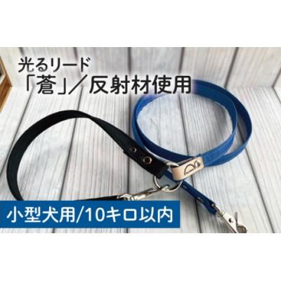ふるさと納税 阿見町 [小型犬用10kgまで]光るリード「蒼」 (40-16)