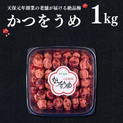 ふるさと納税 大洗町 かつをうめ 1kg
