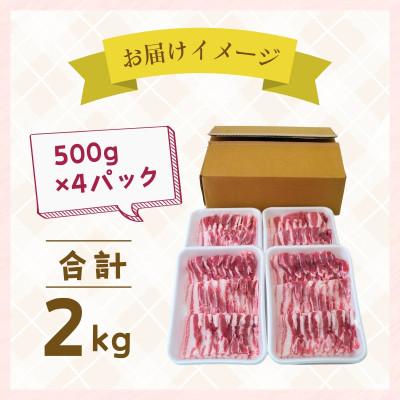 ふるさと納税 龍ケ崎市 こだわりの茨城県産 豚バラ肉 焼肉用 2kg |  | 03