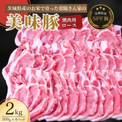 ふるさと納税 龍ケ崎市 茨城県産のお米を食べて育った常陽さん家の美味豚(SPF豚)ロース肉 焼肉用 2kg