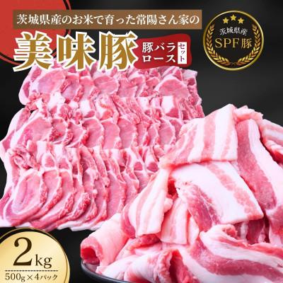 ふるさと納税 龍ケ崎市 茨城県産のお米を食べて育った常陽さん家の美味豚(SPF豚)ロース肉とバラ肉のセット 焼肉用 2kg