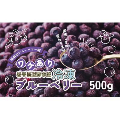 ふるさと納税 遠野市 訳あり 冷凍 ブルーベリー 500g 岩手県遠野市 遠野食工房蔵