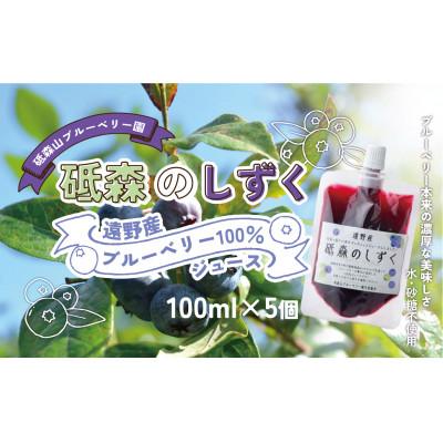 ふるさと納税 遠野市 砥森のしずく ブルーベリージュース 果汁100% 100ml×5個 岩手県遠野市 遠野食工房