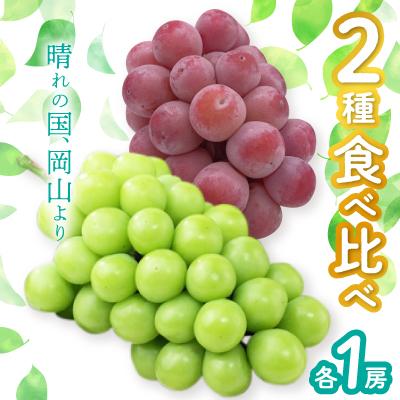 ふるさと納税 津山市 シャインマスカット&amp;クイーンニーナ[2026年9月中旬以降順次発送]
