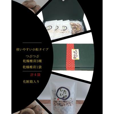 ふるさと納税 愛西市 乾燥椎茸&amp;つぶつぶ乾燥しいたけ3種 [ちいさなキノコ園] 国産